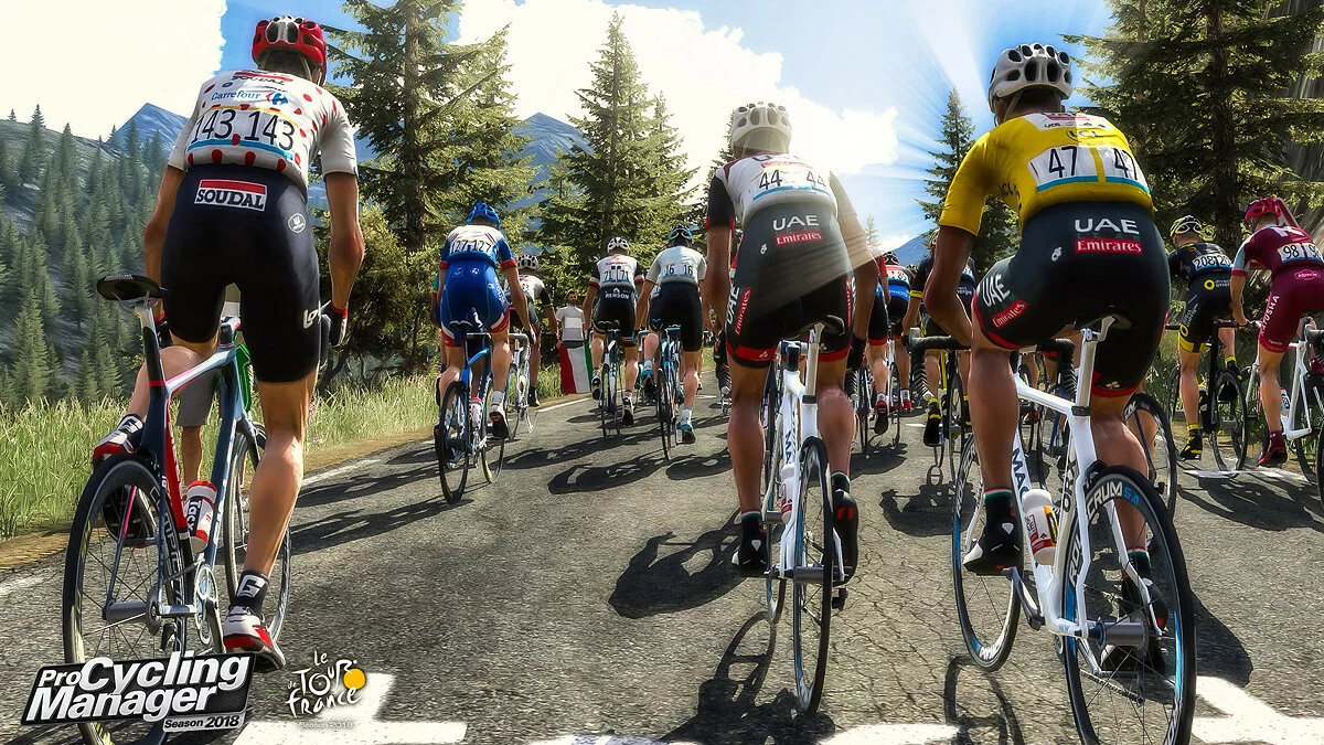 Скриншот из игры Tour de France 2018 - 25
