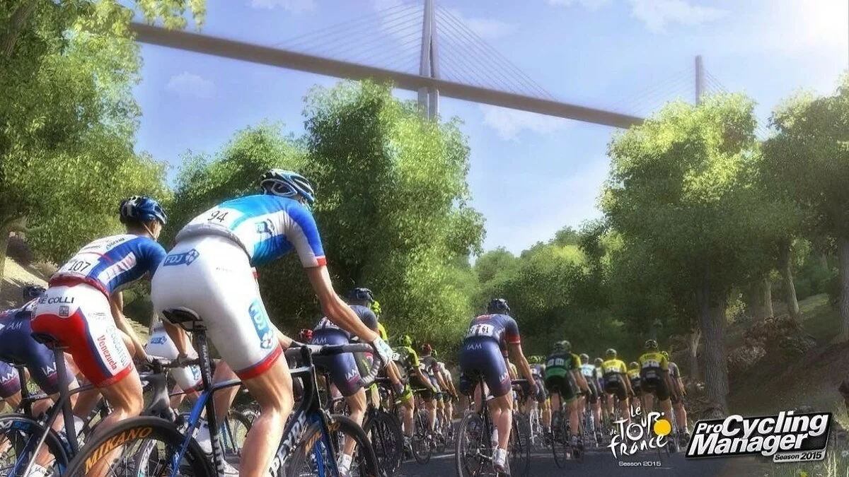 Скриншот из игры Tour de France 2015 - 19