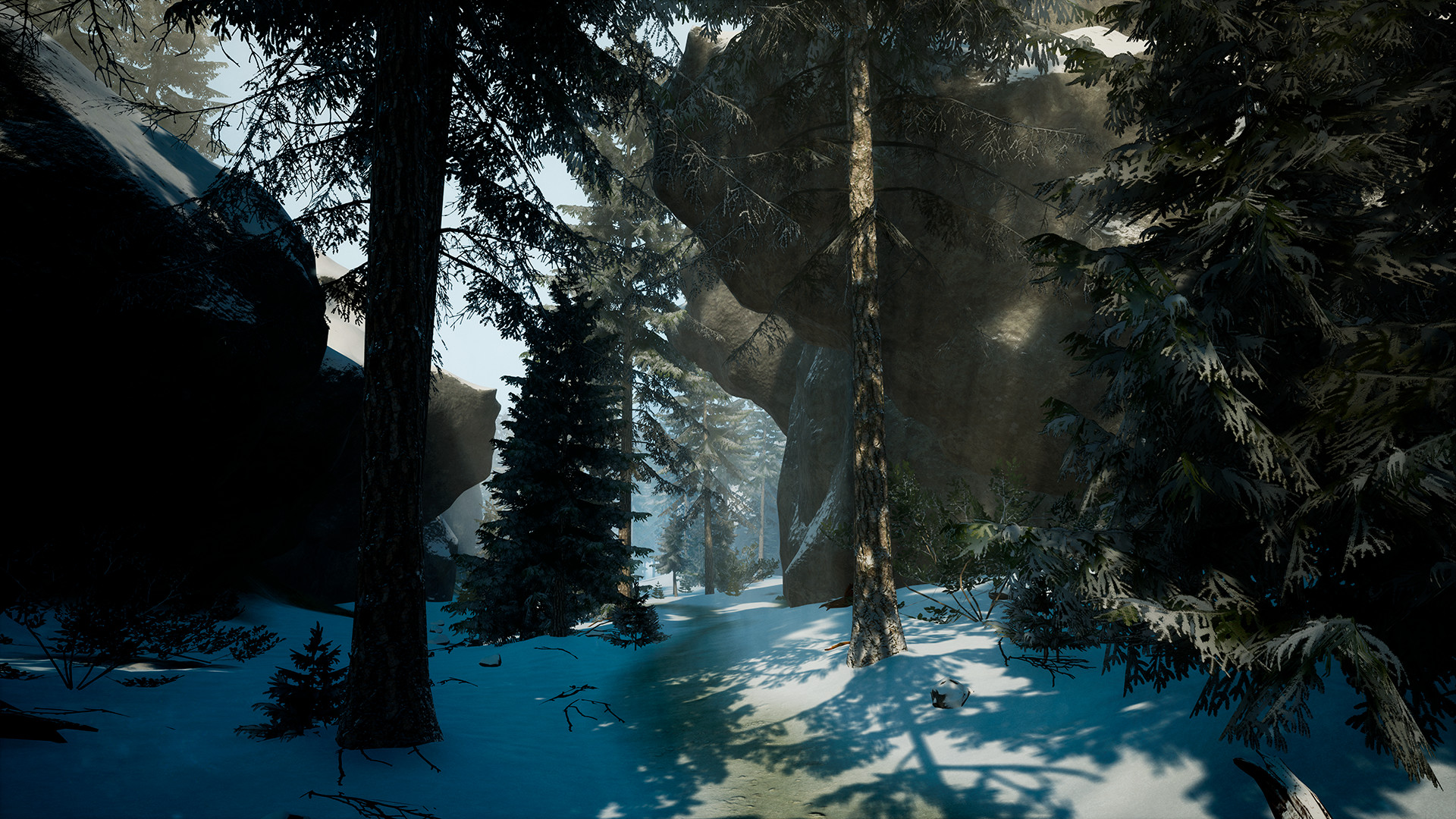 Скриншот из игры Finding Bigfoot - 45