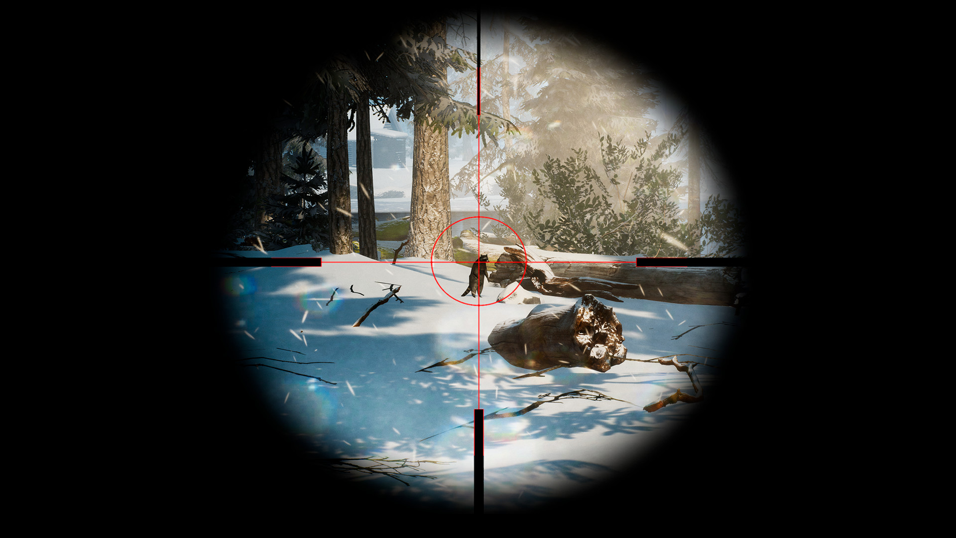 Скриншот из игры Finding Bigfoot - 32