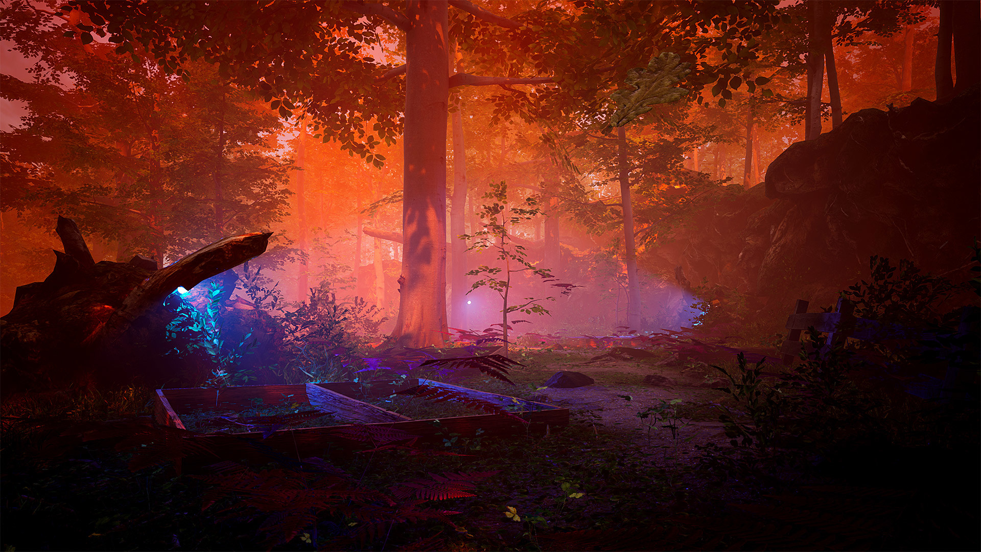 Скриншот из игры The Fabled Woods - 12