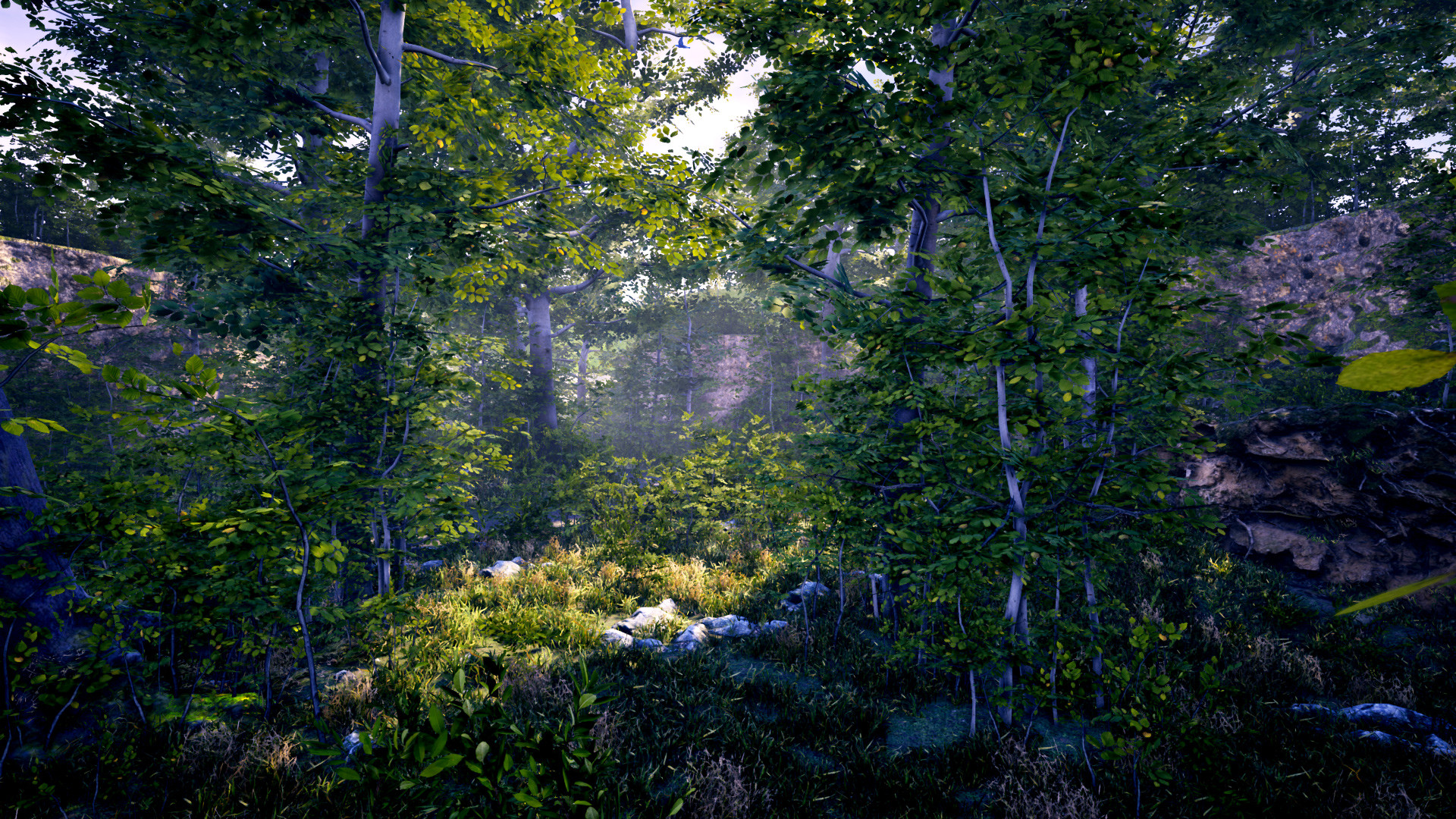 Скриншот из игры The Fabled Woods - 6