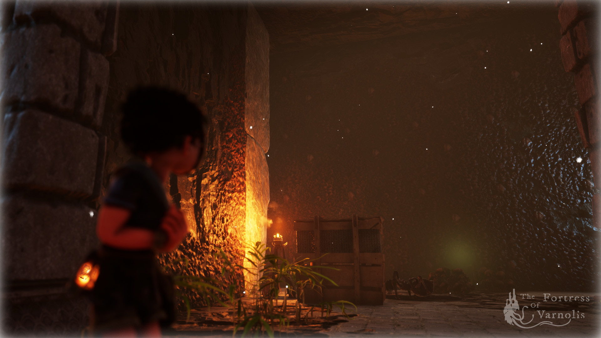 Скриншот из игры The Fortress of Varnolis - 23