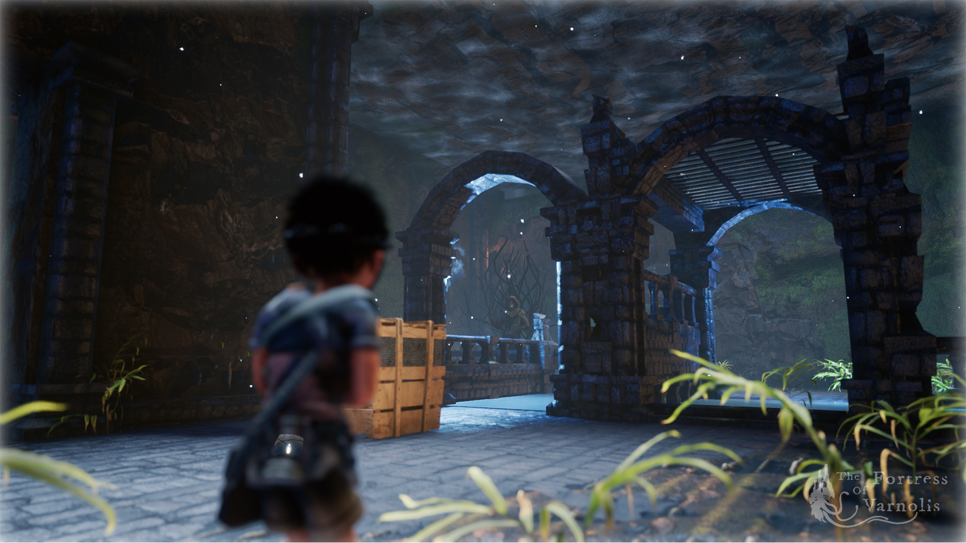 Скриншот из игры The Fortress of Varnolis - 28