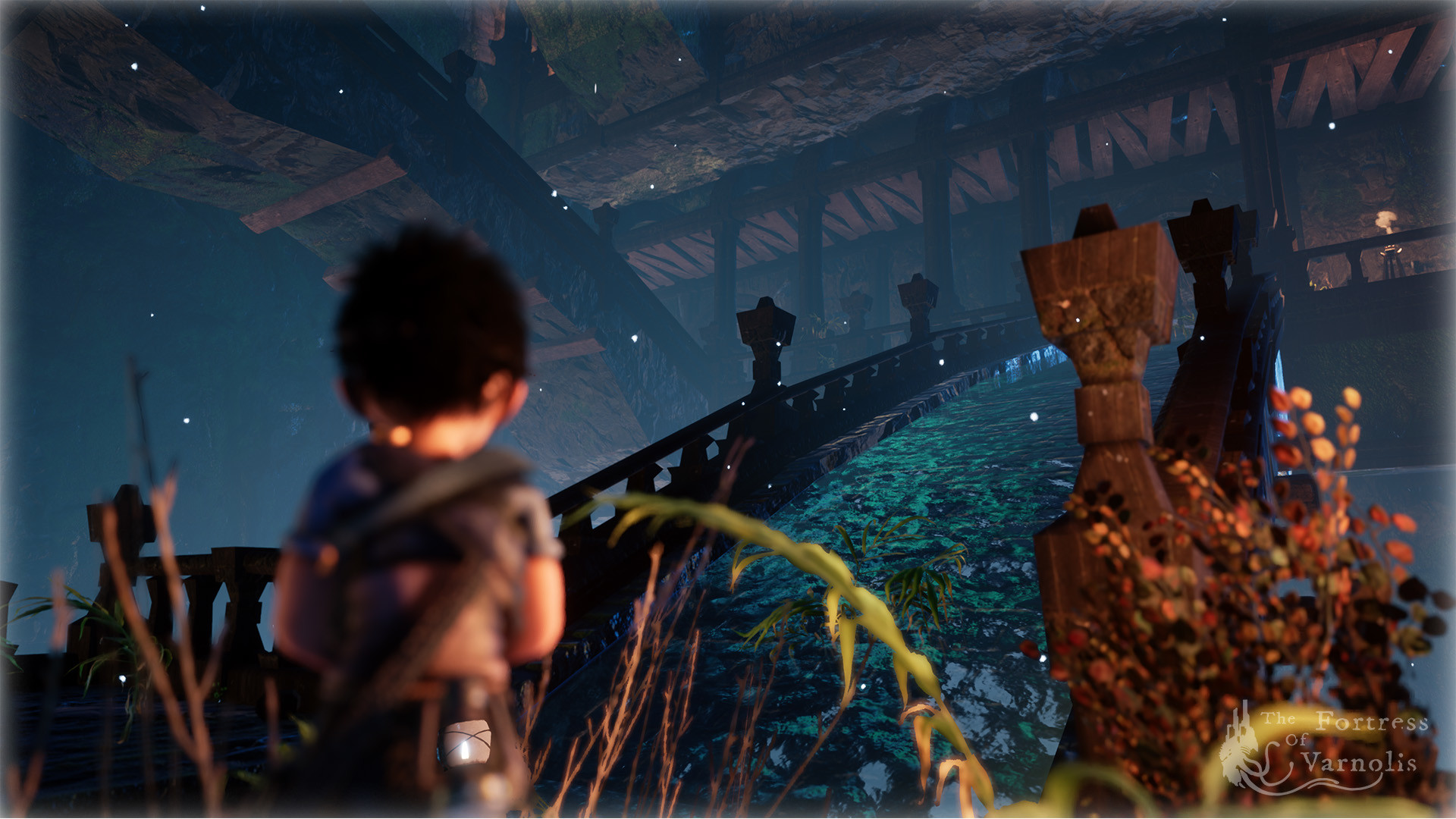 Скриншот из игры The Fortress of Varnolis - 29