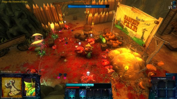 Скриншот из игры Nekro - 3