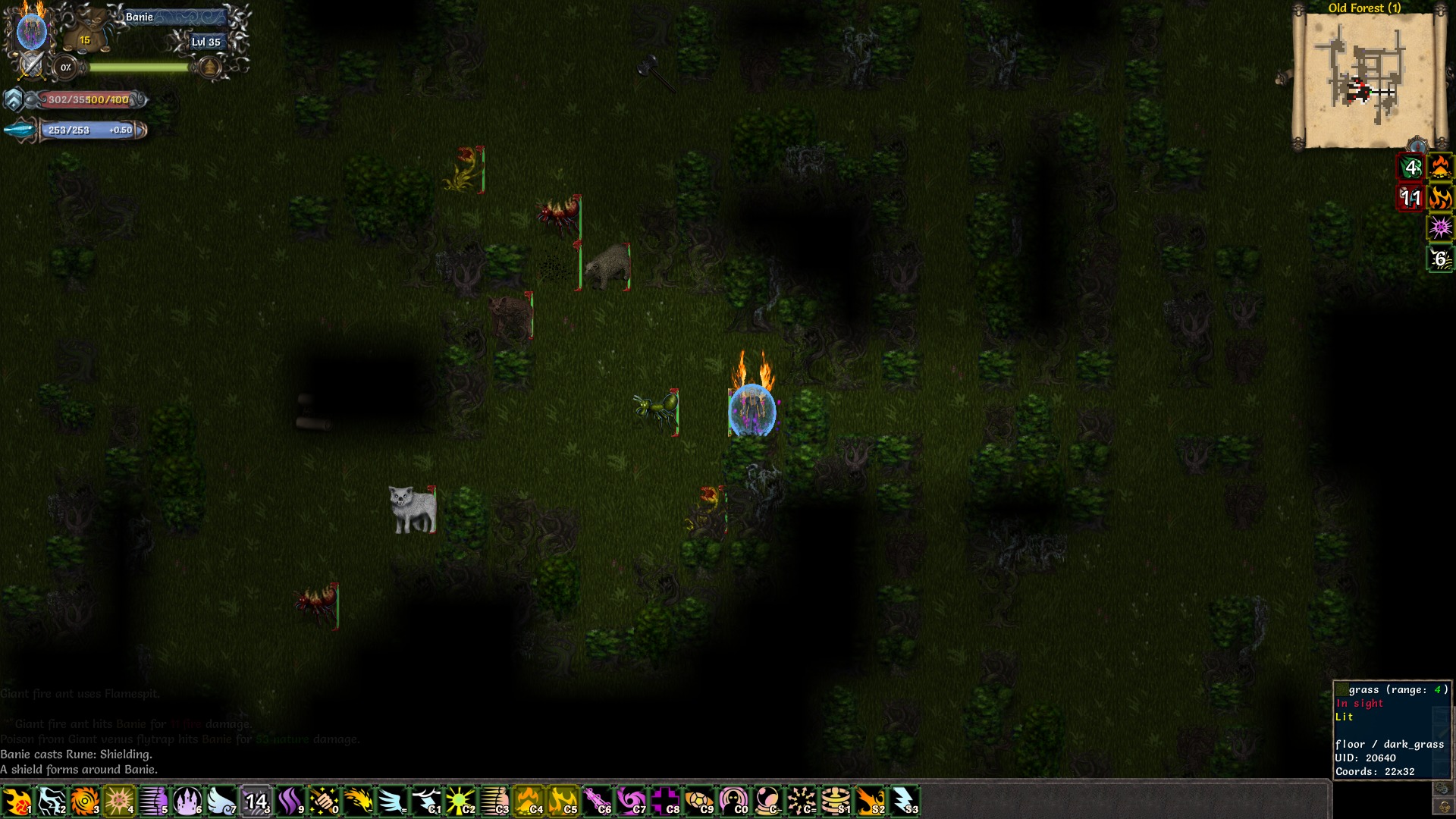 Скриншот из игры Tales of Maj'Eyal - 35