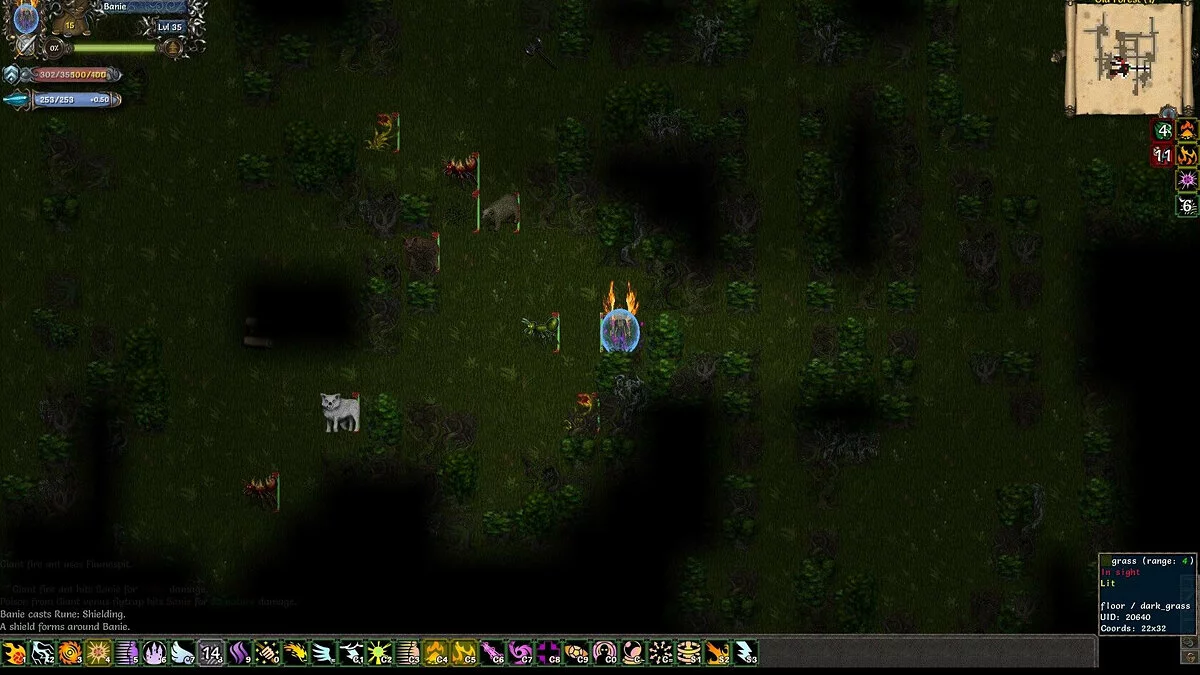 Скриншот из игры Tales of Maj'Eyal - 27