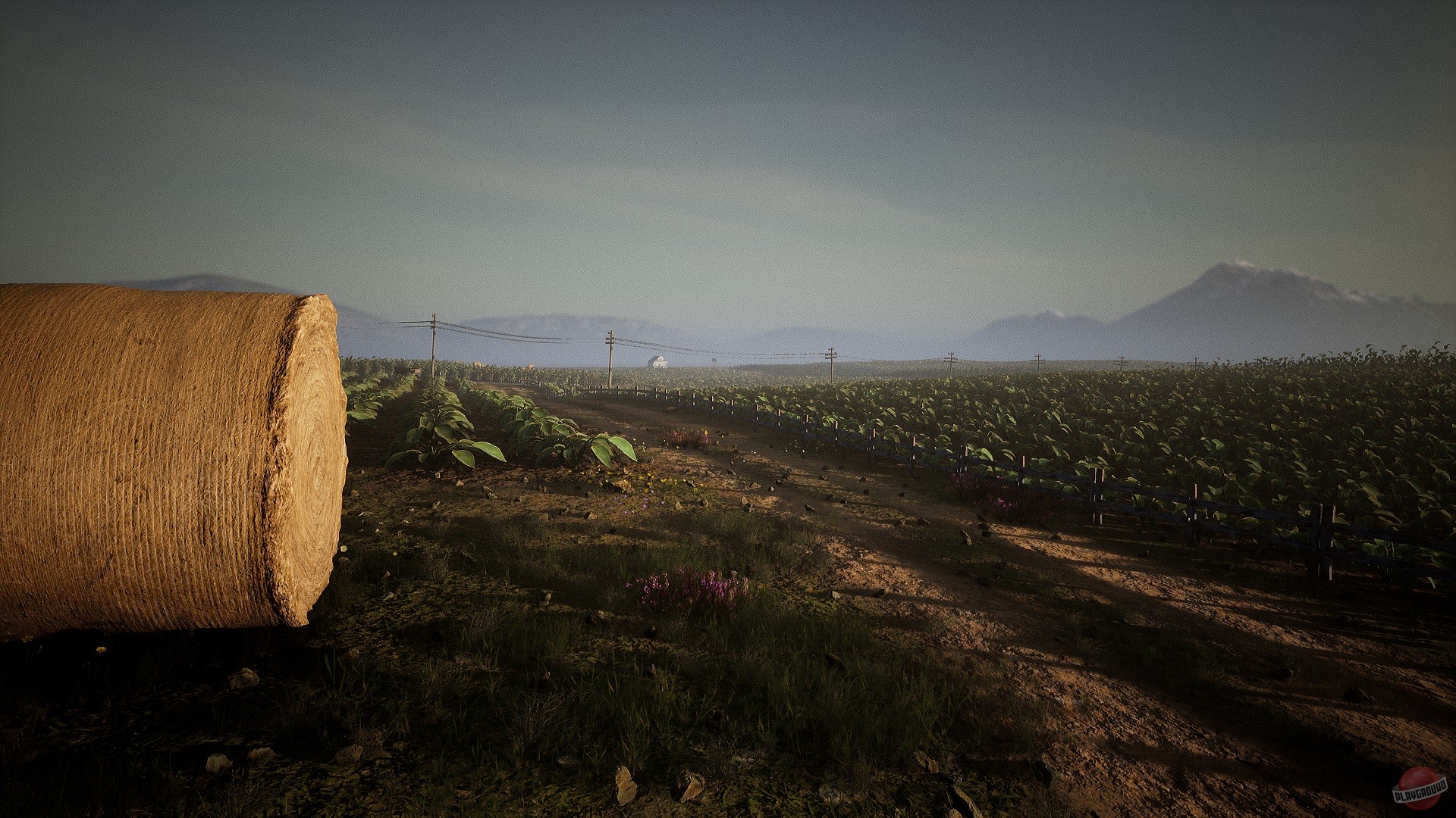 Скриншот из игры The Vision - 5