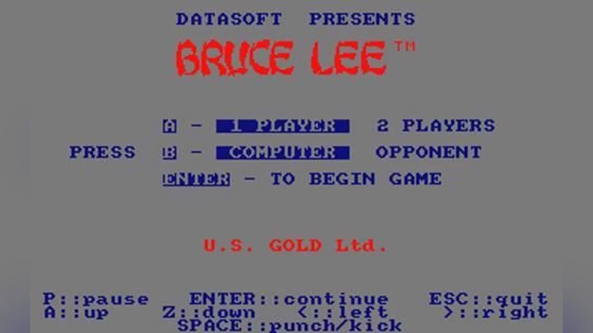 Скриншот из игры Bruce Lee - 5