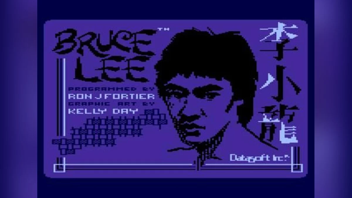 Скриншот из игры Bruce Lee - 6