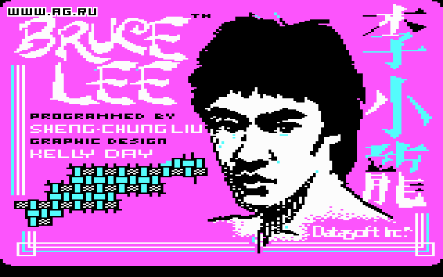 Скриншот из игры Bruce Lee - 4