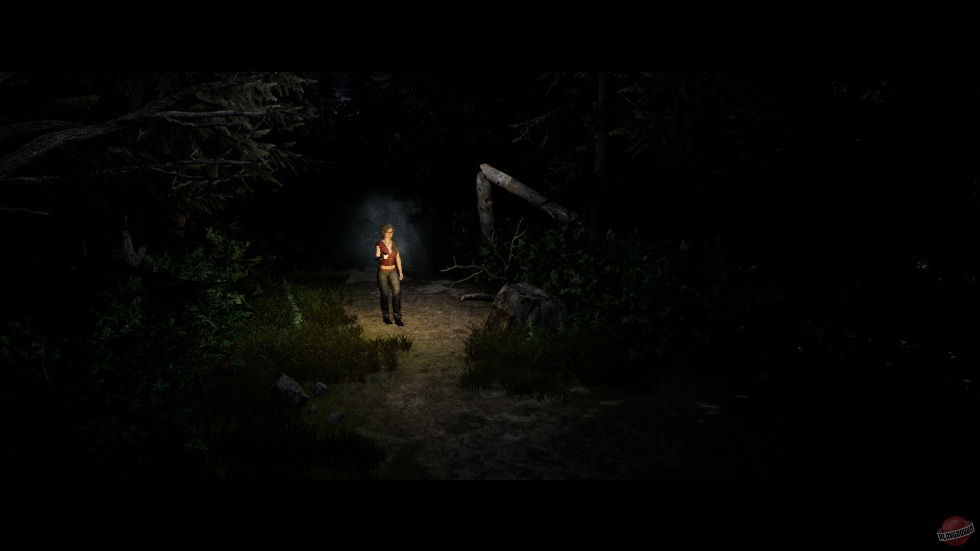 Скриншот из игры The Mute House - 4