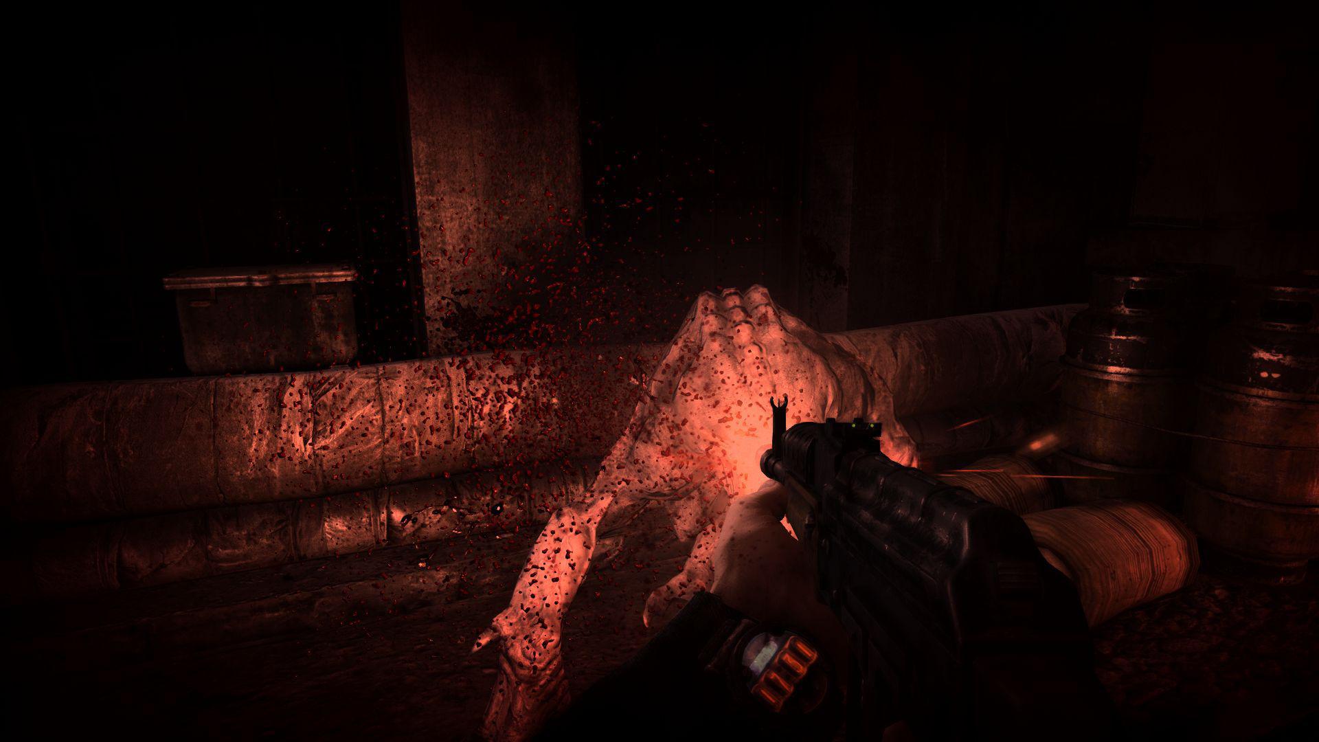 Скриншот из игры Metro: Last Light Redux - 40
