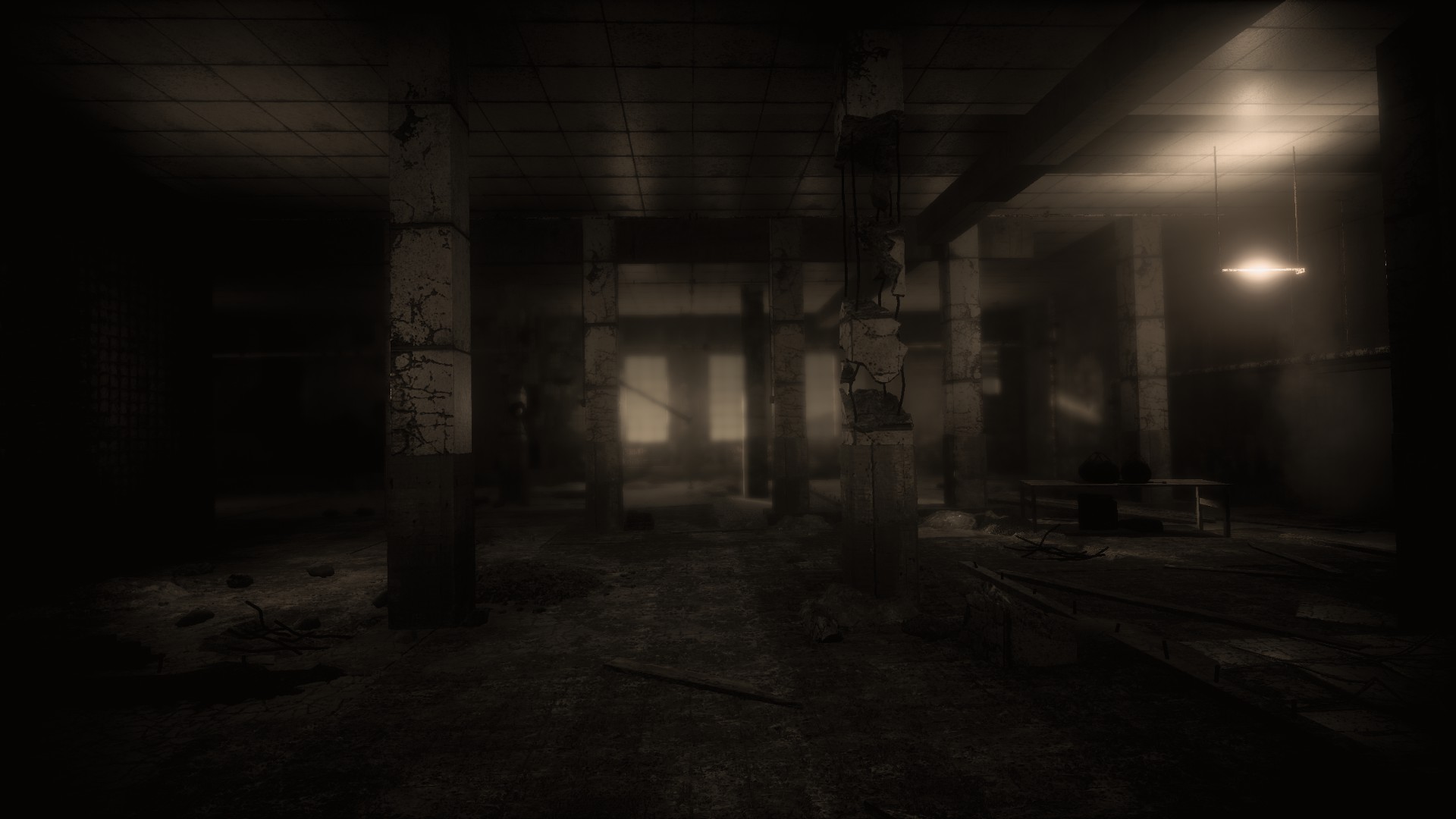 Скриншот из игры The Butterfly Sign: Human Error - 23