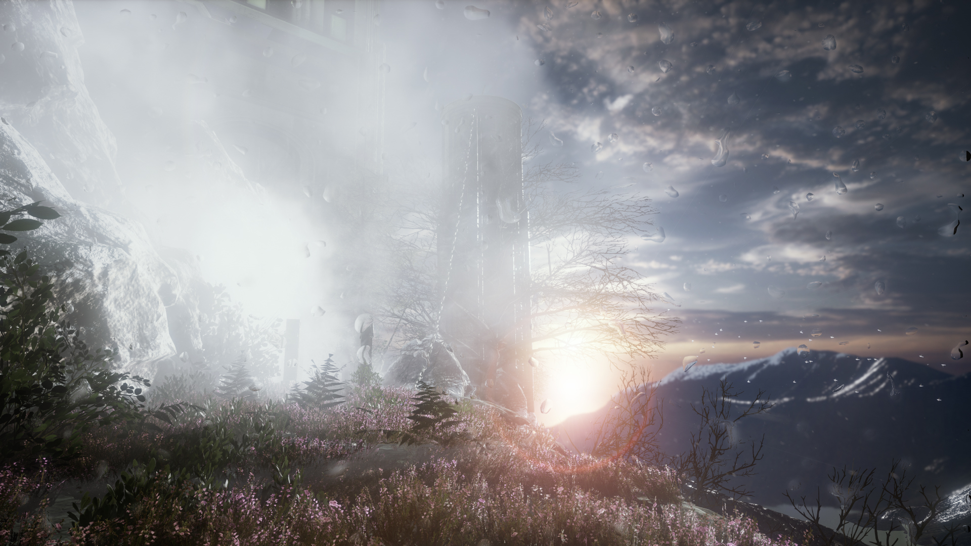 Скриншот из игры The Butterfly Sign - 35