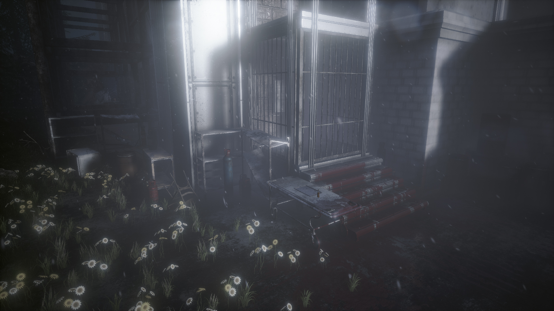 Скриншот из игры The Butterfly Sign - 51