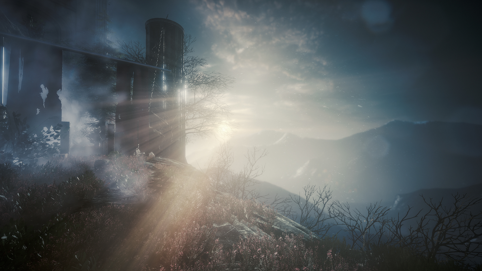 Скриншот из игры The Butterfly Sign - 16