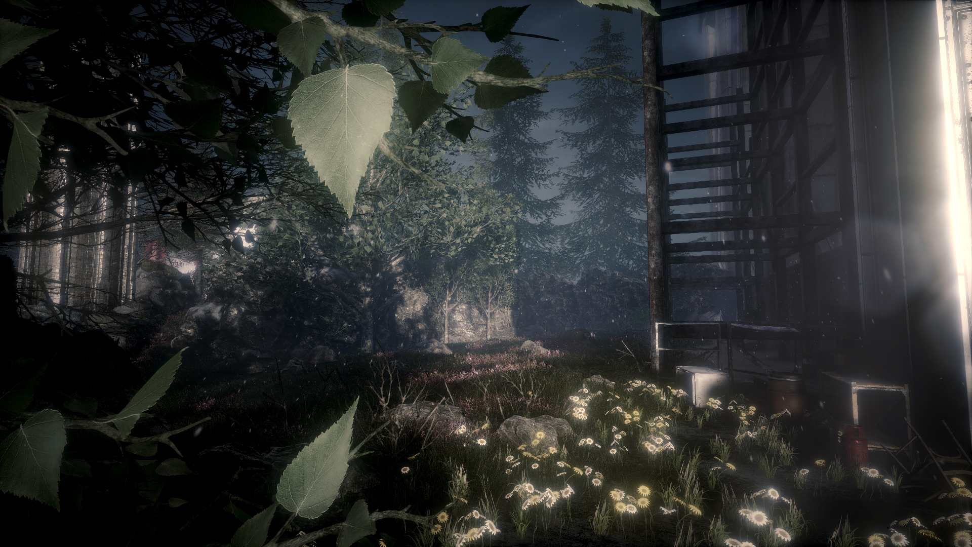 Скриншот из игры The Butterfly Sign - 52