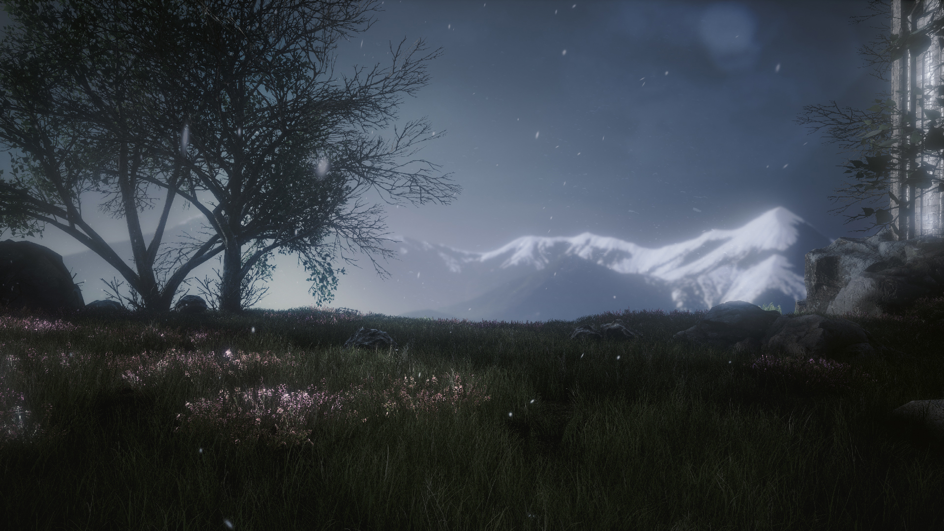 Скриншот из игры The Butterfly Sign - 26