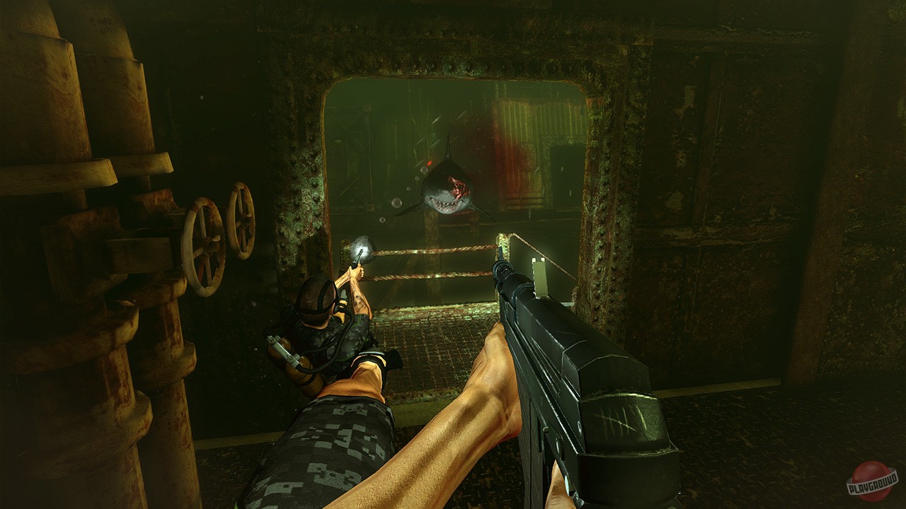 Скриншот из игры Depth - 24