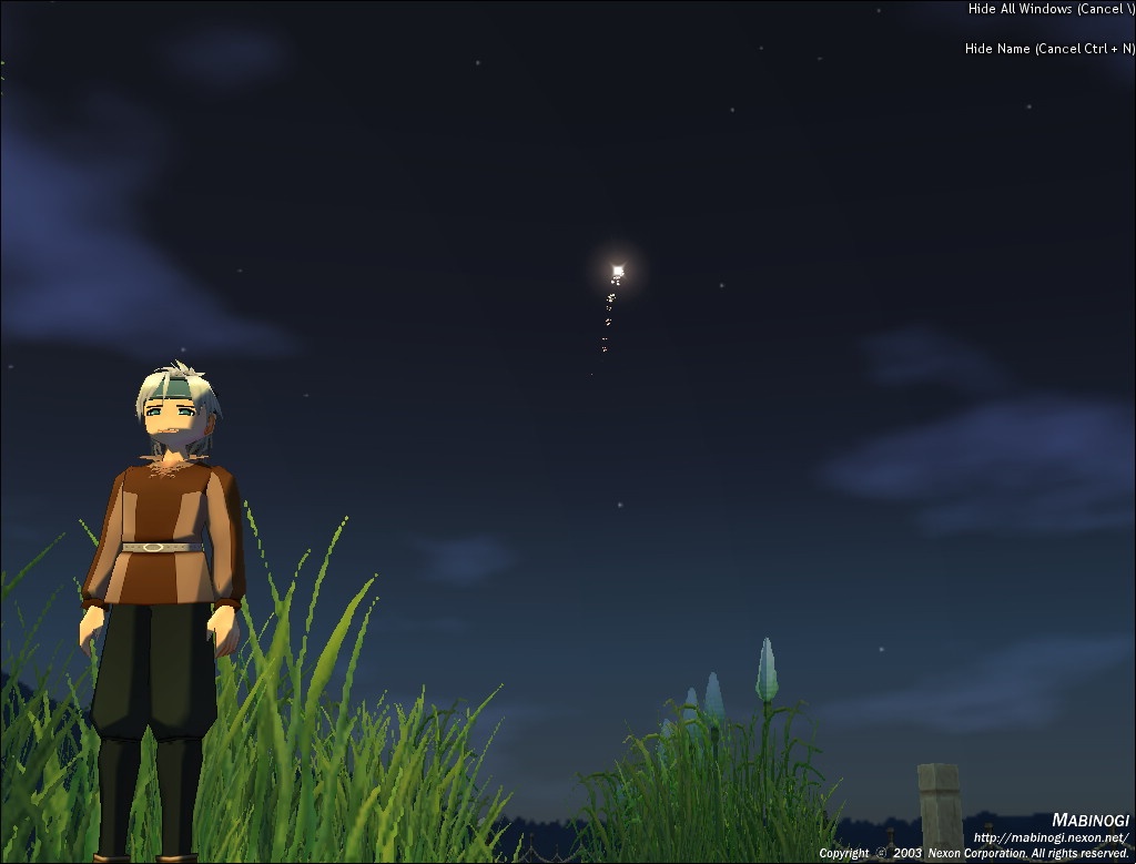 Скриншот из игры Mabinogi - 119
