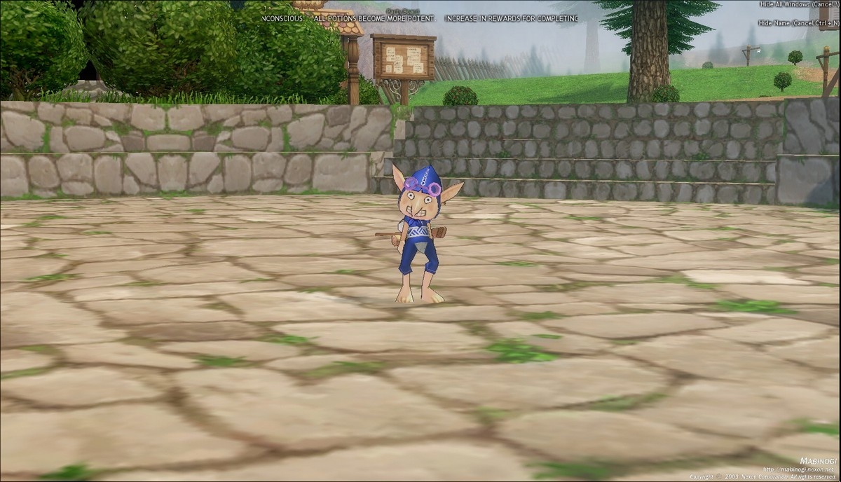 Скриншот из игры Mabinogi - 60