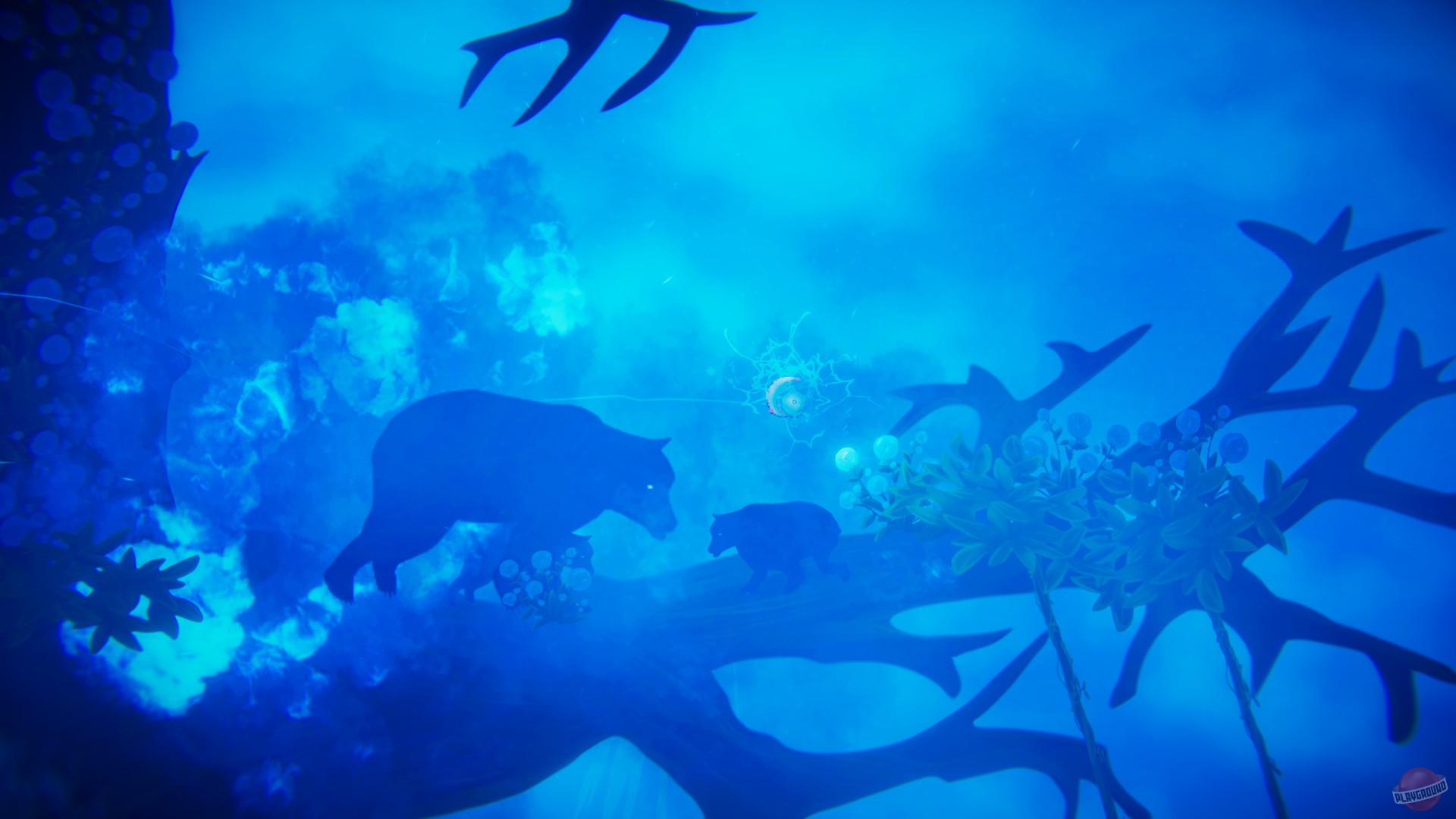 Скриншот из игры OSK - 3