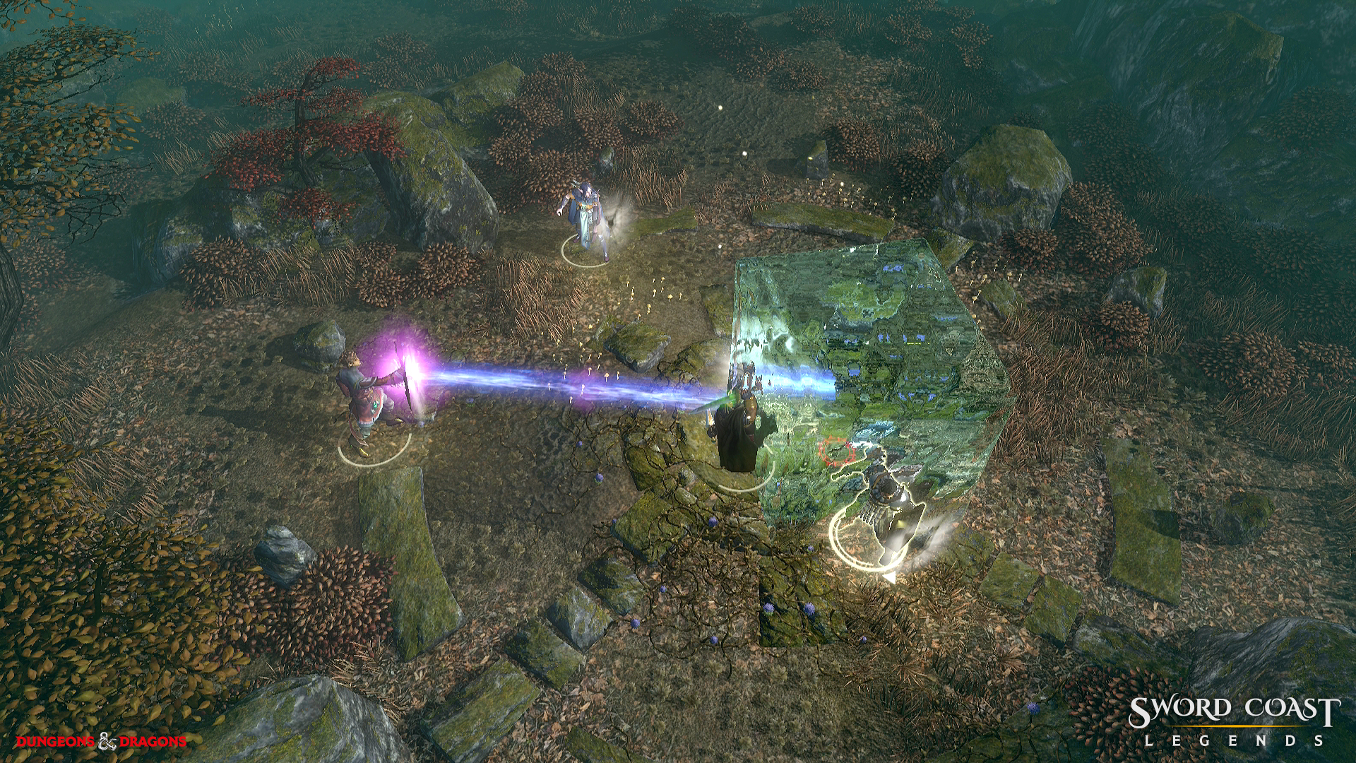 Скриншот из игры Sword Coast Legends - 85