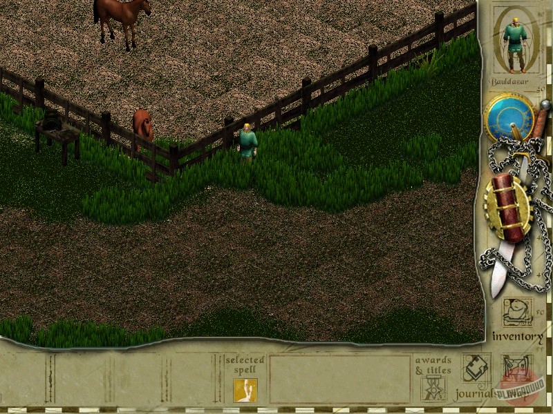 Скриншот из игры Siege of Avalon - 26