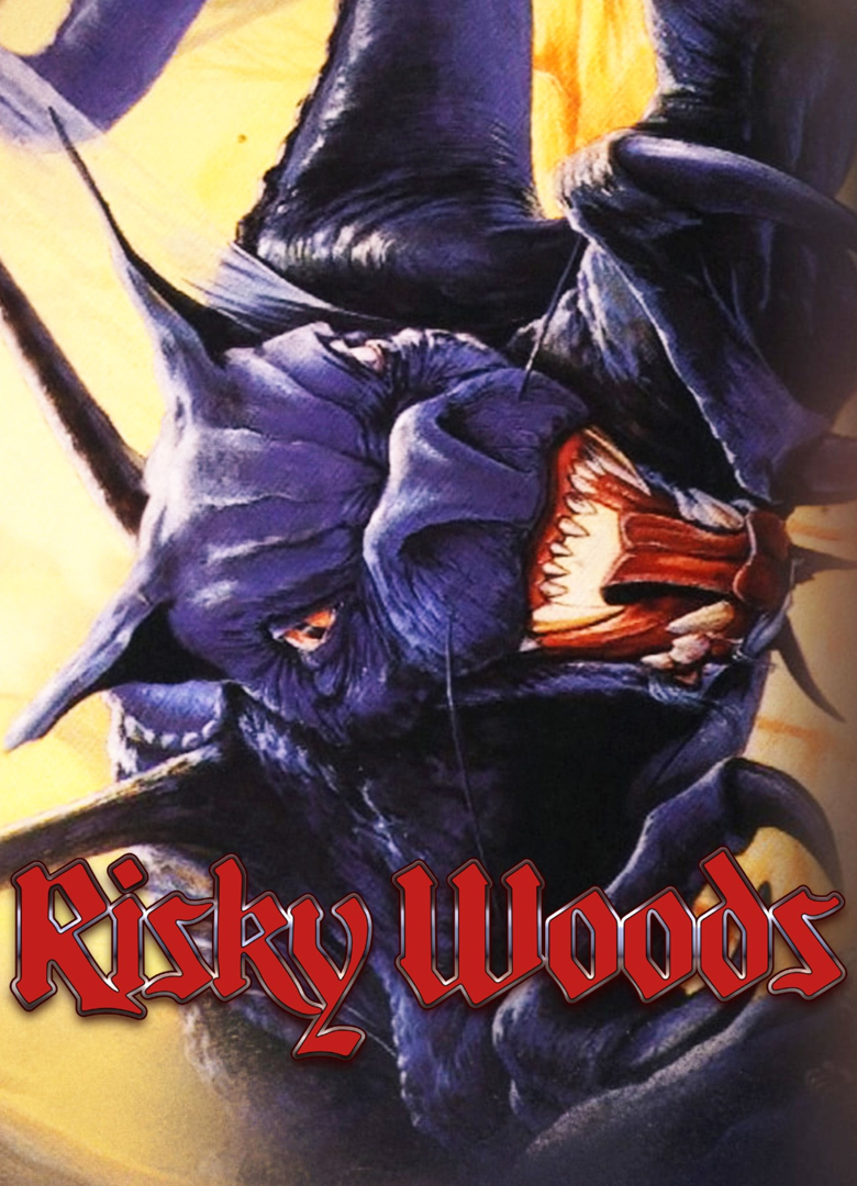 Обложка игры Risky Woods