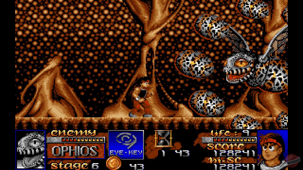 Скриншот из игры Risky Woods - 2