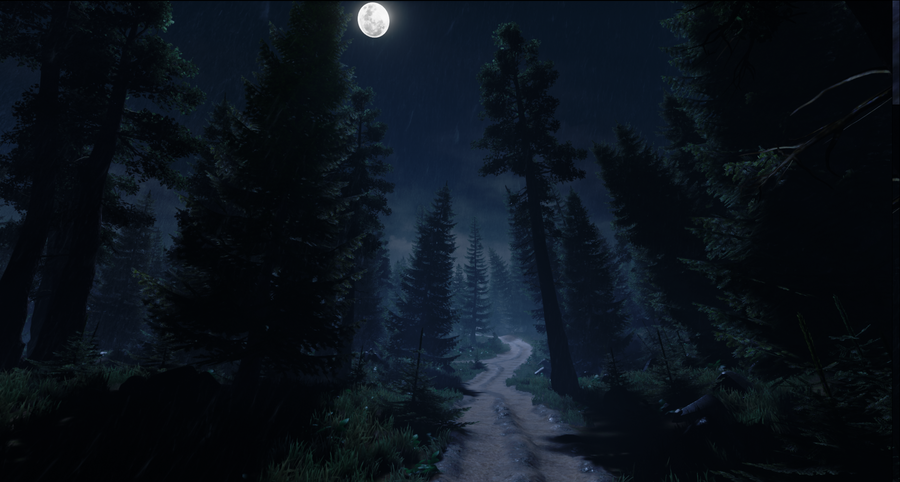 Скриншот из игры Without Memory - 2