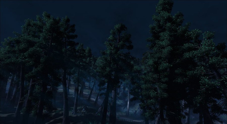 Скриншот из игры Without Memory - 13