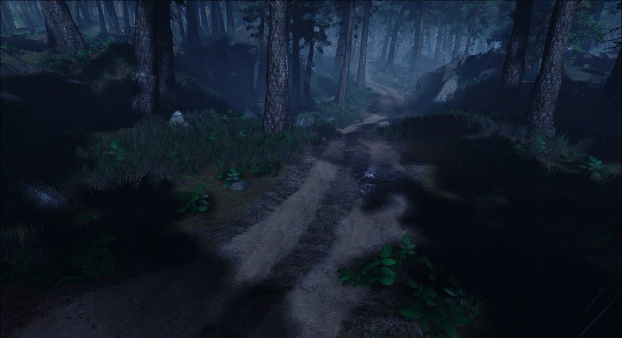 Скриншот из игры Without Memory - 14