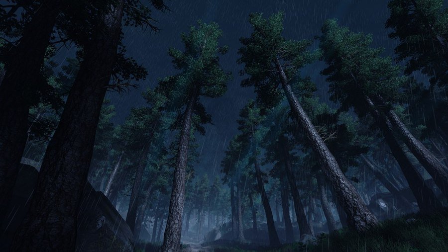 Скриншот из игры Without Memory - 15