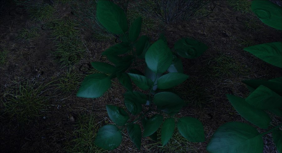 Скриншот из игры Without Memory - 18