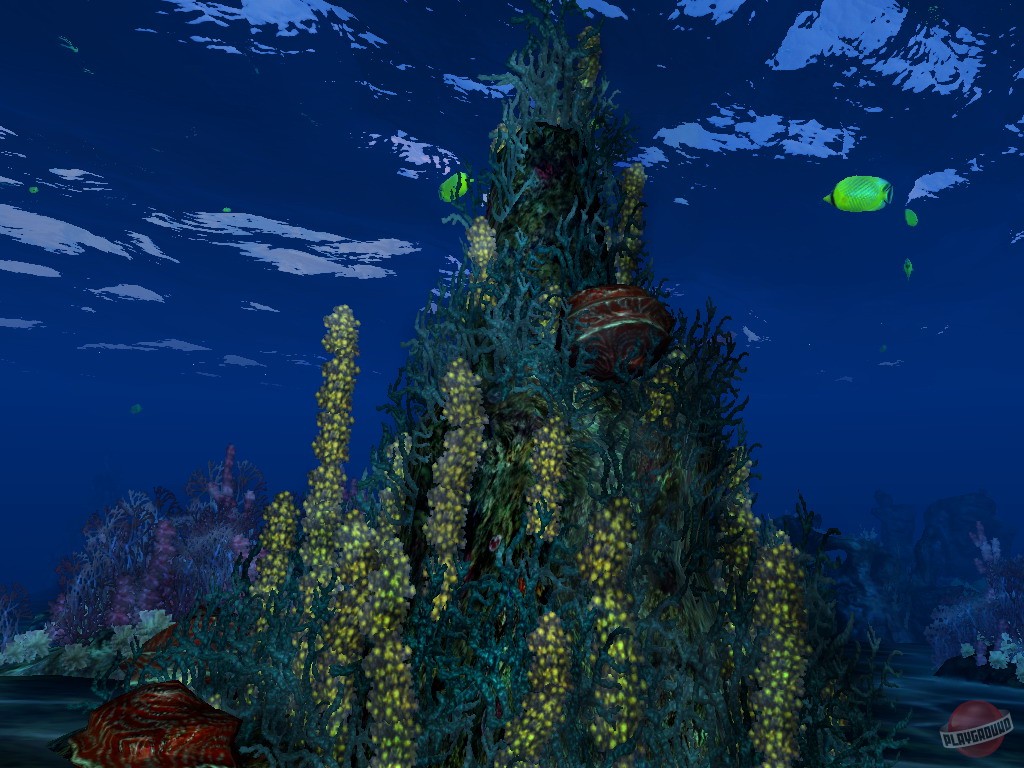 Скриншот из игры Pirate Hunter. Сомалийский капкан - 21