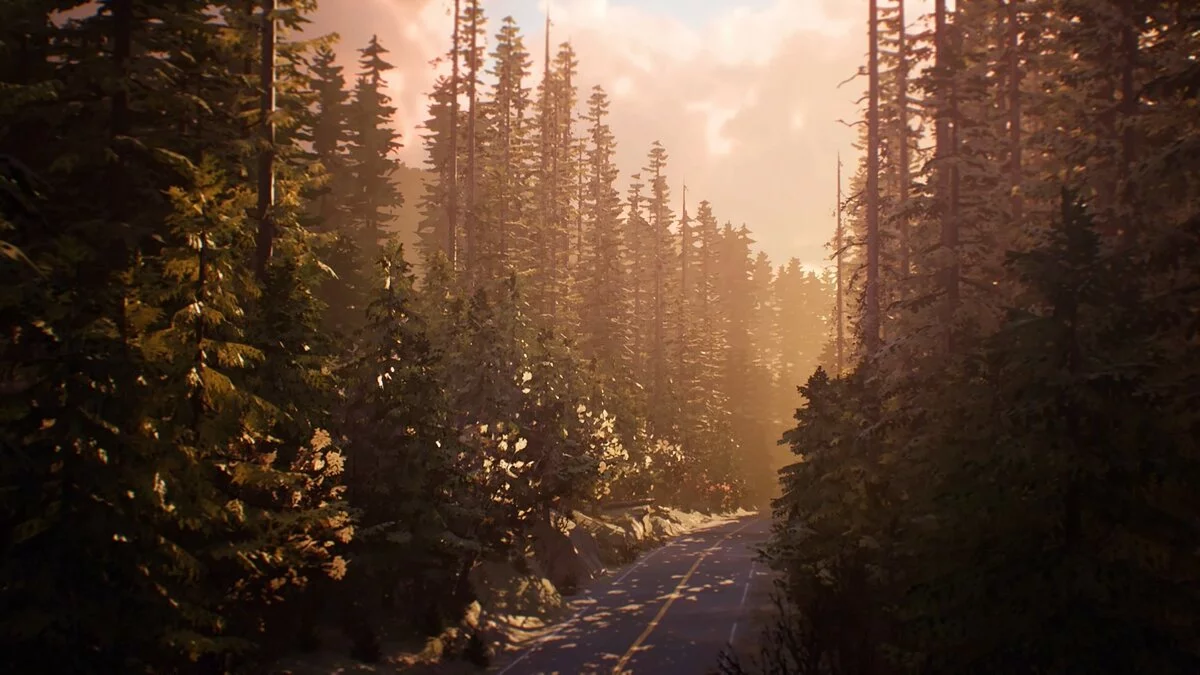 Скриншот из игры Life is Strange 2 - 15