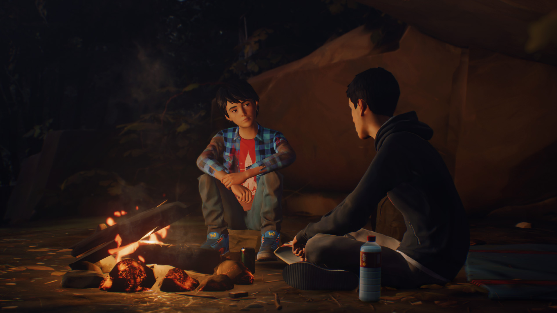 Скриншот из игры Life is Strange 2 - 27