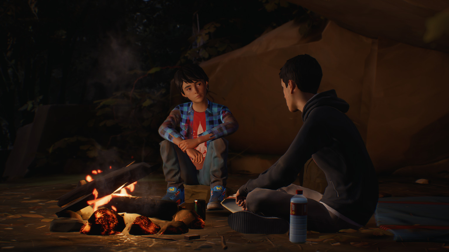 Скриншот из игры Life is Strange 2 - 2