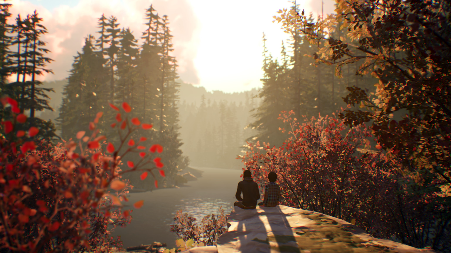 Скриншот из игры Life is Strange 2 - 3