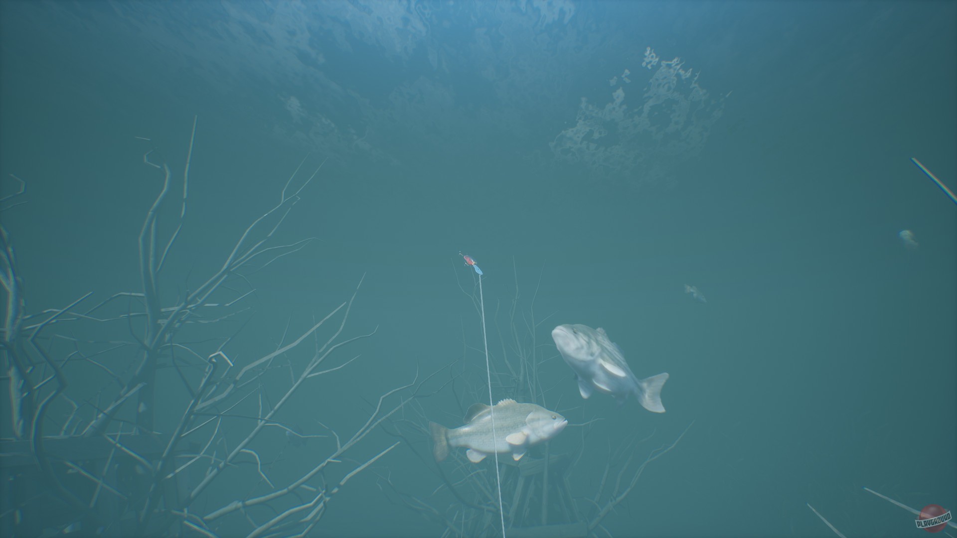 Скриншот из игры Bassmaster Fishing 2022 - 25