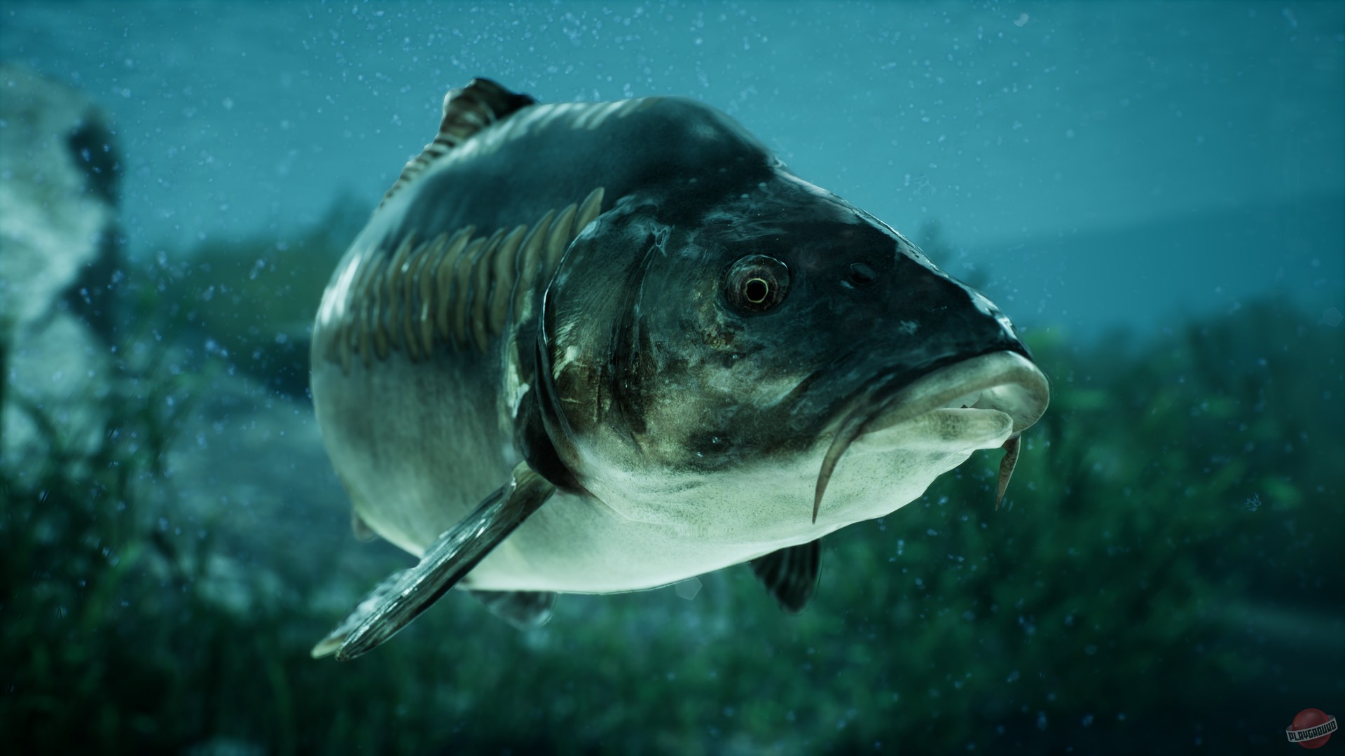 Скриншот из игры The Catch: Carp & Coarse Fishing - 3