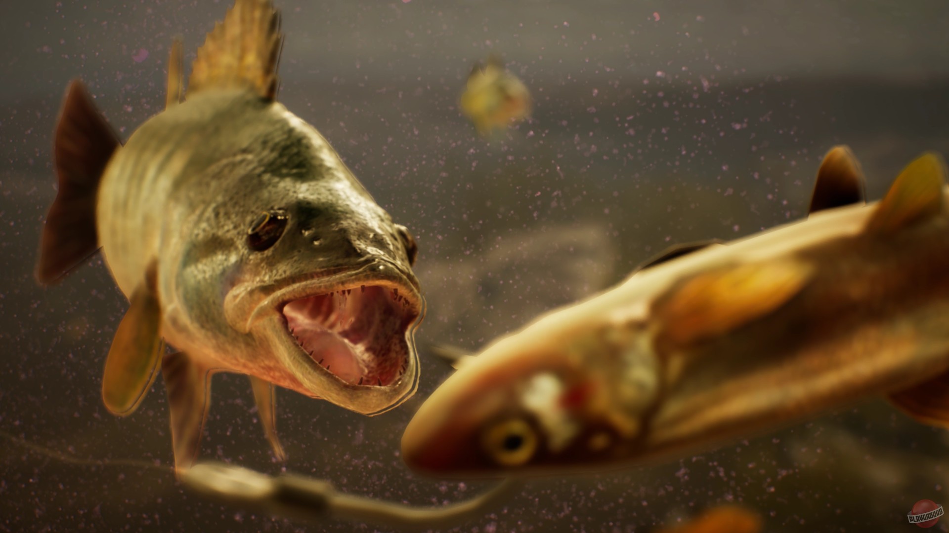 Скриншот из игры The Catch: Carp & Coarse Fishing - 6