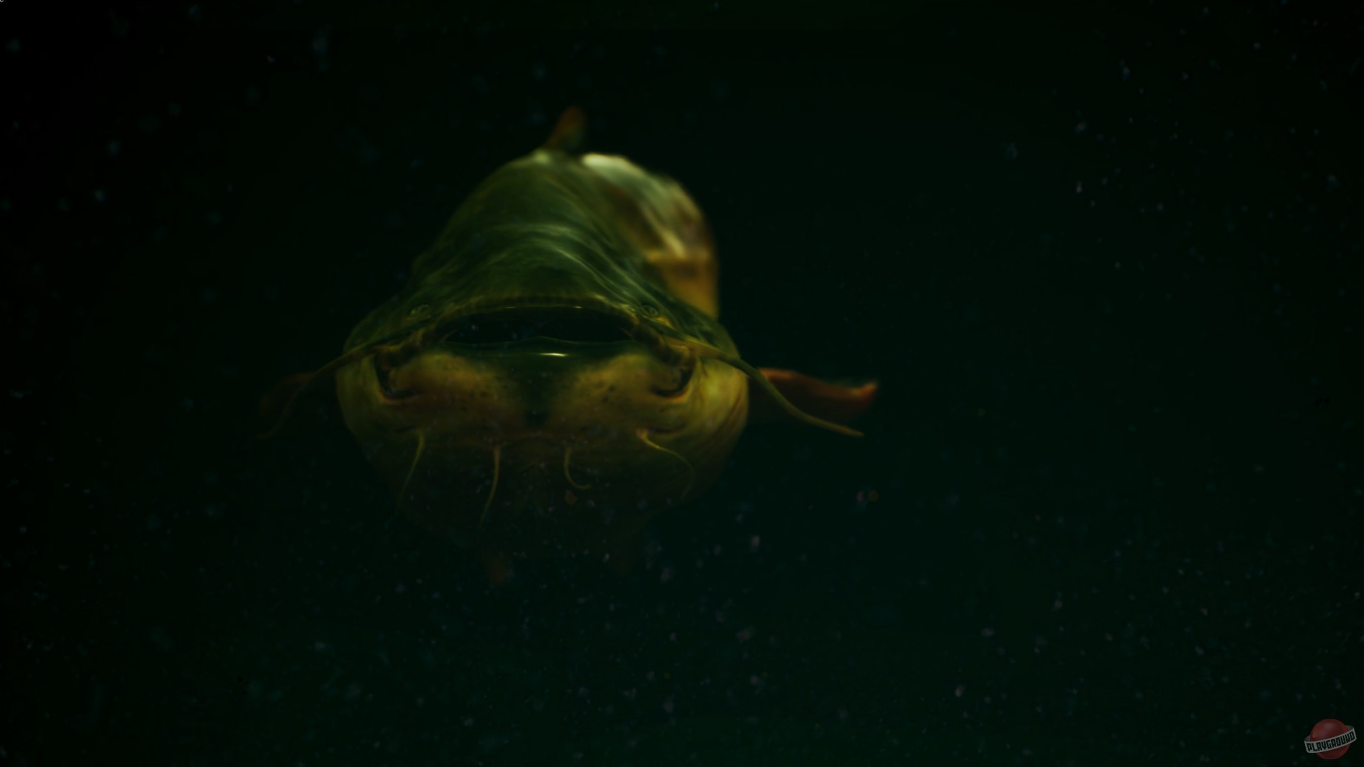 Скриншот из игры The Catch: Carp & Coarse Fishing - 5