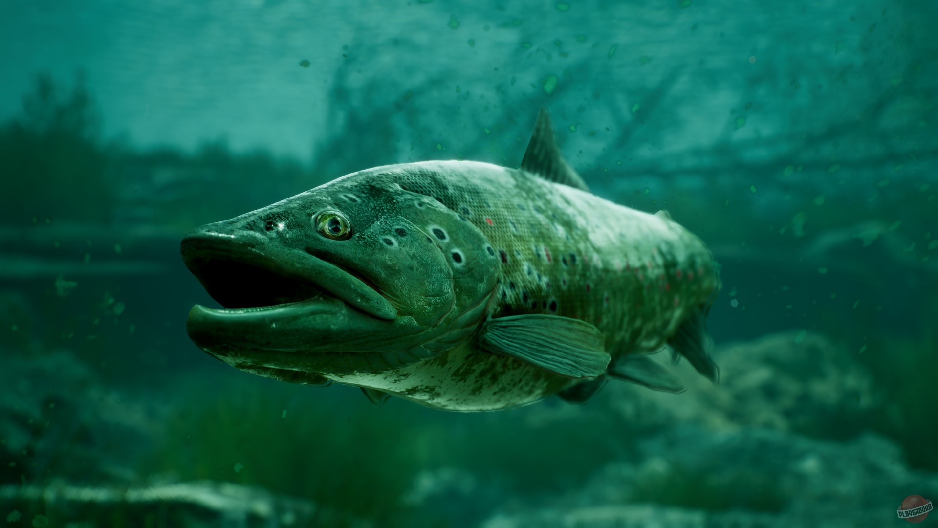 Скриншот из игры The Catch: Carp & Coarse Fishing - 2