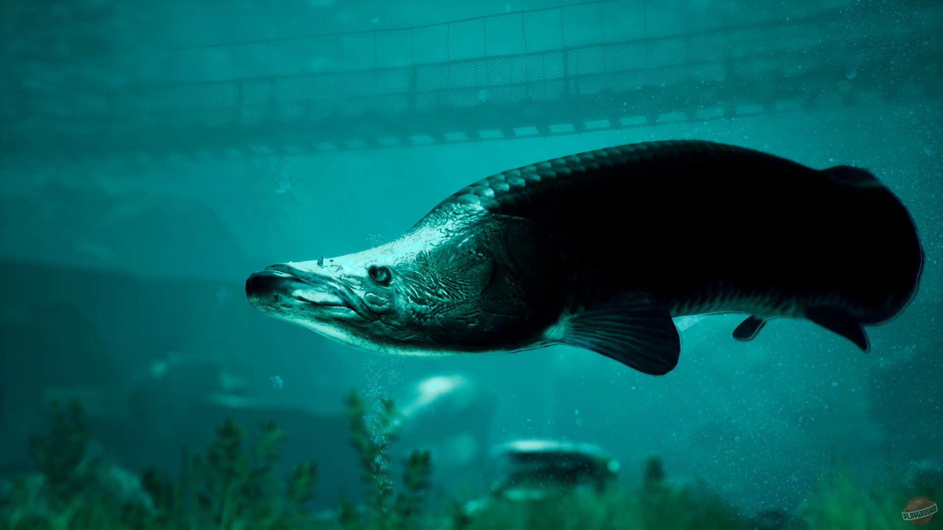 Скриншот из игры The Catch: Carp & Coarse Fishing - 1