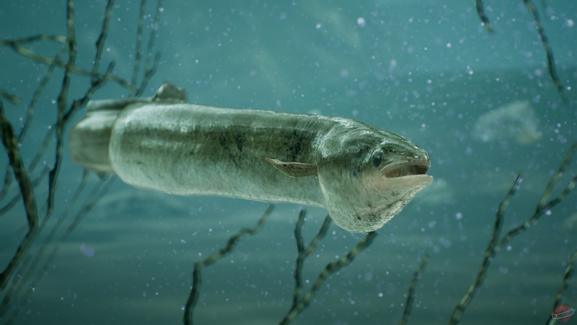 Скриншот из игры The Catch: Carp & Coarse Fishing - 4