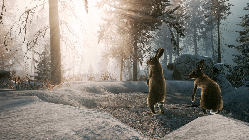 Скриншот из игры Winter Survival Simulator - 1